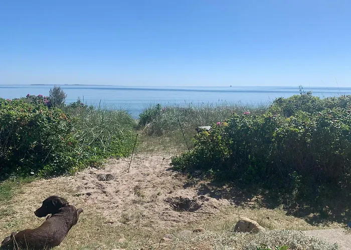 Beachfront House At Holken * Odder